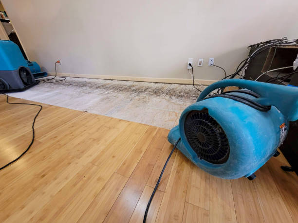 Professional Flood Damage Cleanup technician working in Mount Hermon, CA
