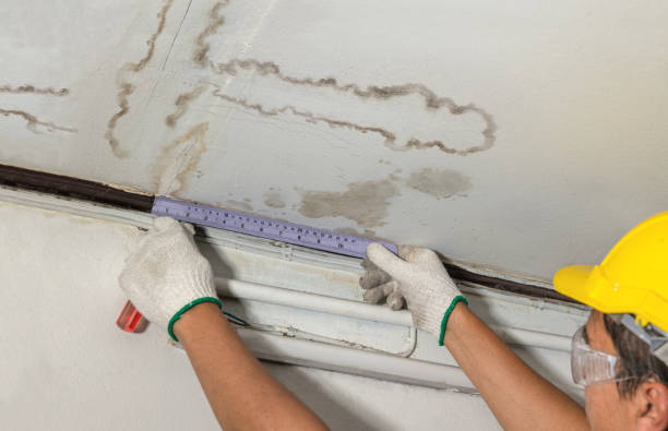 Affordable Flood Damage Cleanup solutions in Mount Hermon, CA